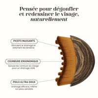 Brosse Drainage Lymphatique Ginko-Shop